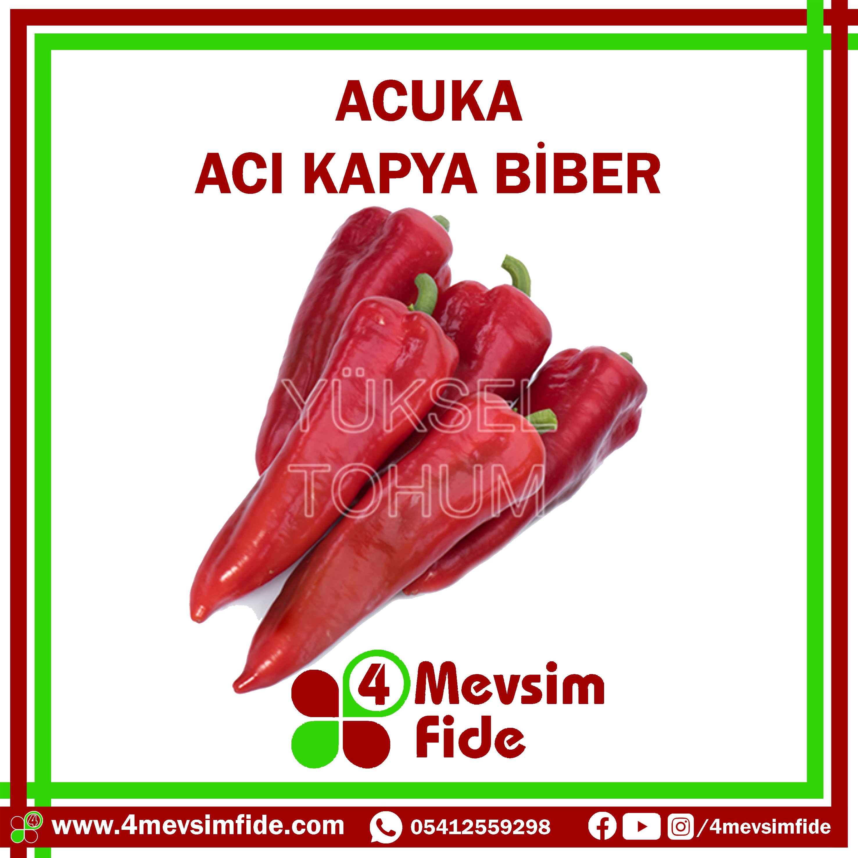 Acuka F1 Acı Kapya Biber